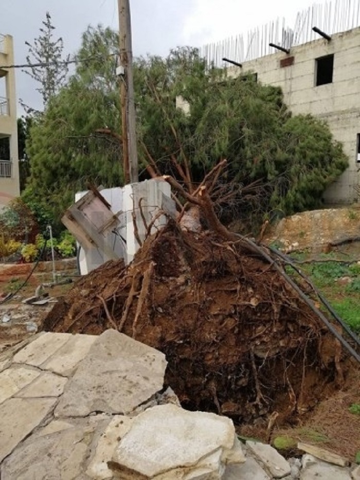 Плохая погода продолжает наносить ущерб Кипру: фото 4