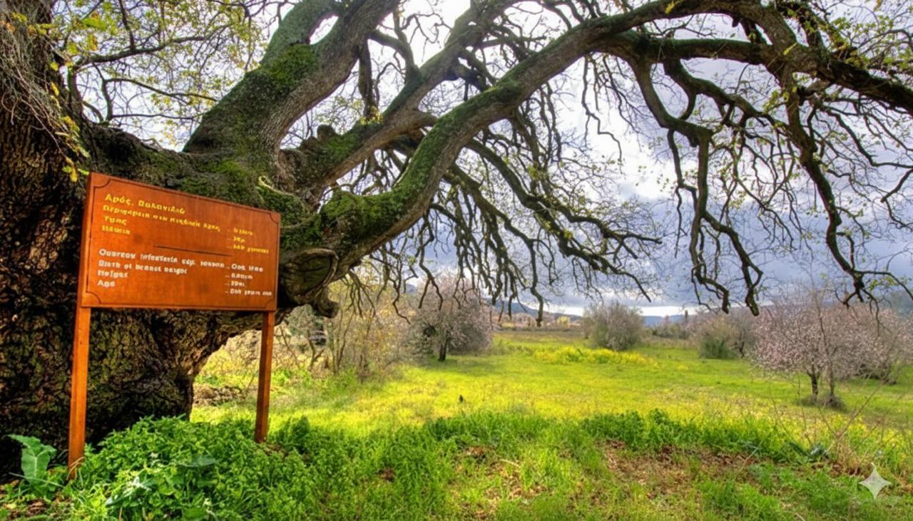 горы Троодос