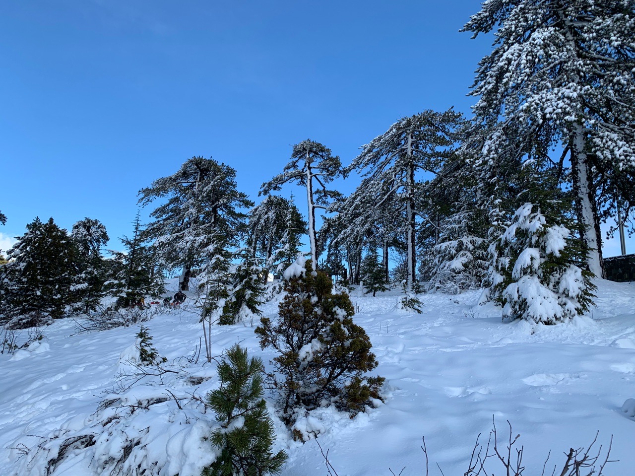 Прекрасный зимний пейзаж в горах Троодос: фото 16