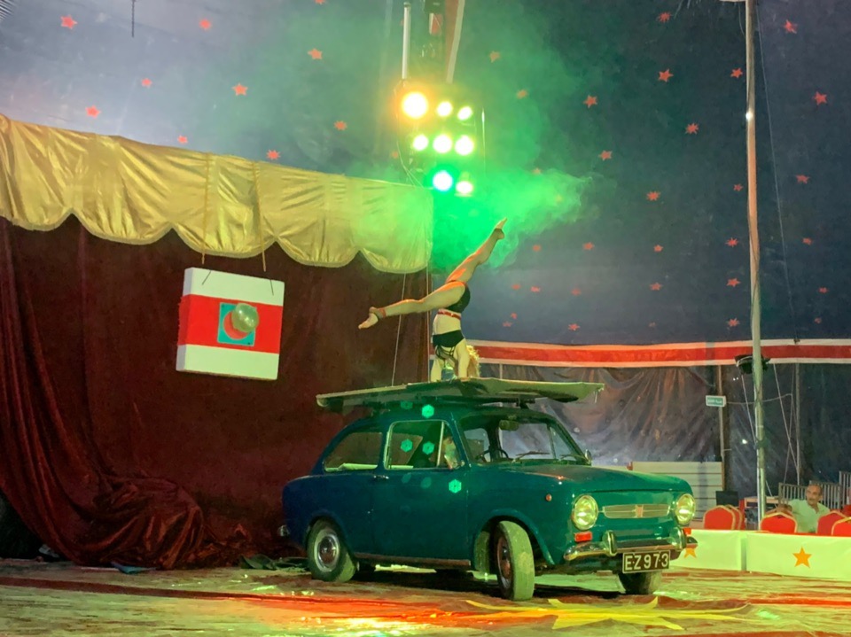 Цирковое шоу в Лимассоле, которое нельзя пропустить!: фото 14