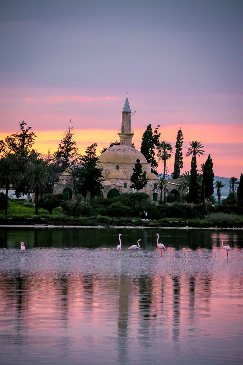 Соляное озеро Ларнаки заполонили фламинго!: фото 3