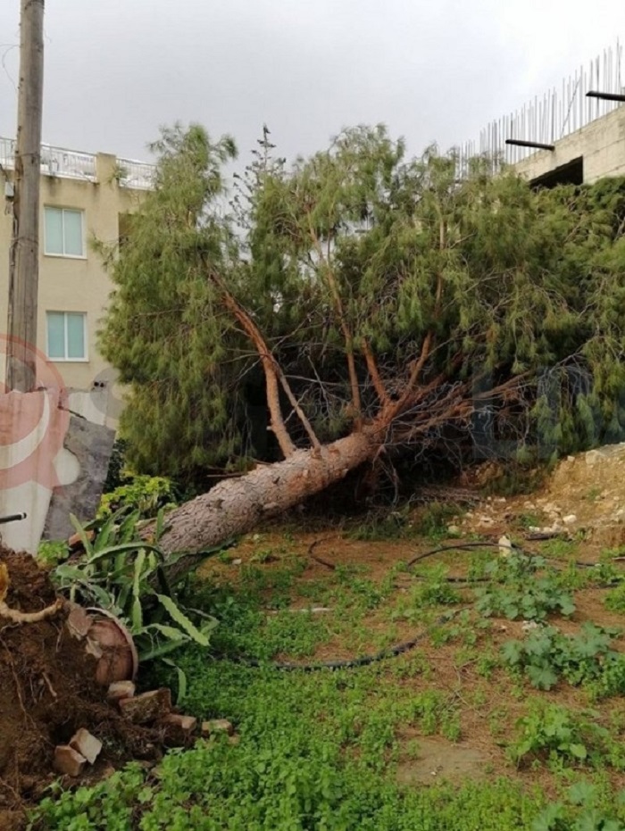 Плохая погода продолжает наносить ущерб Кипру: фото 5