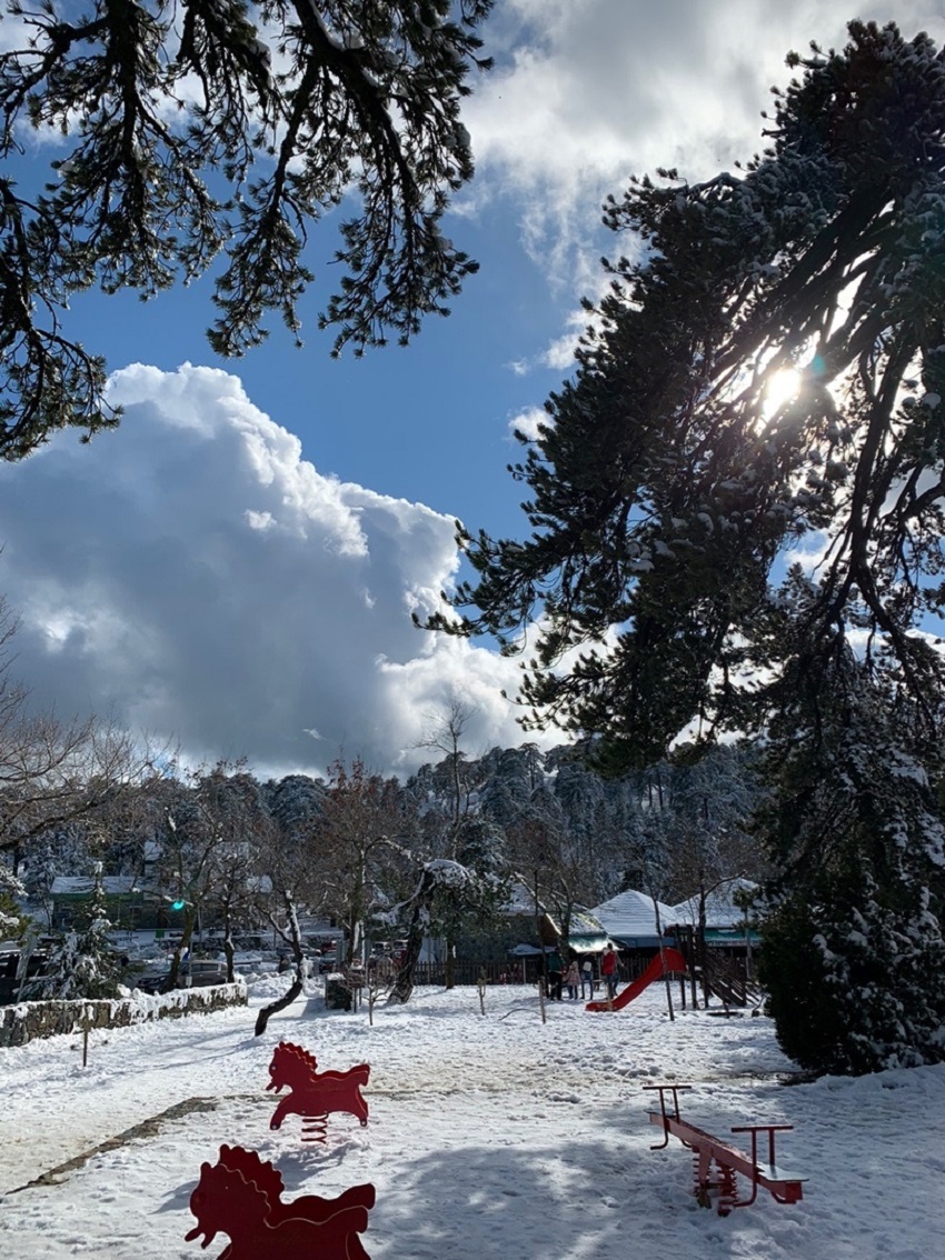 Прекрасный зимний пейзаж в горах Троодос: фото 13