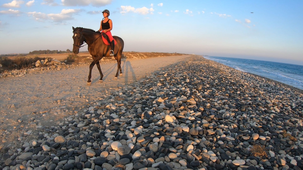 Берем бразды правления: прыжок в мир конного спорта Кипра: фото 3
