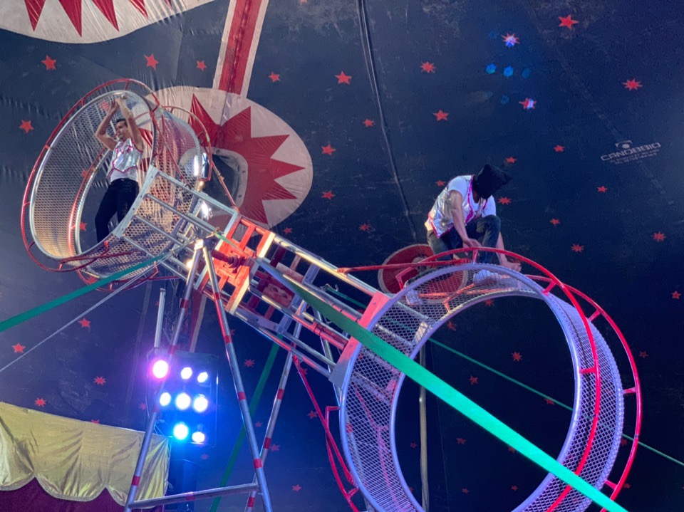 Цирковое шоу в Лимассоле, которое нельзя пропустить!: фото 18