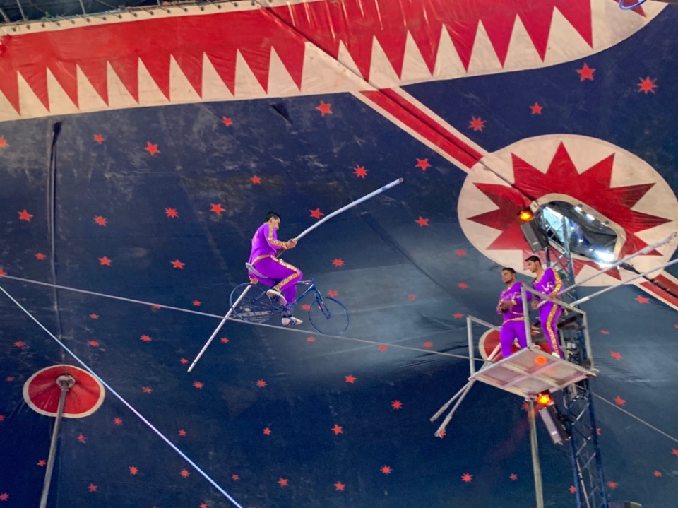 Цирковое шоу в Лимассоле, которое нельзя пропустить!: фото 3