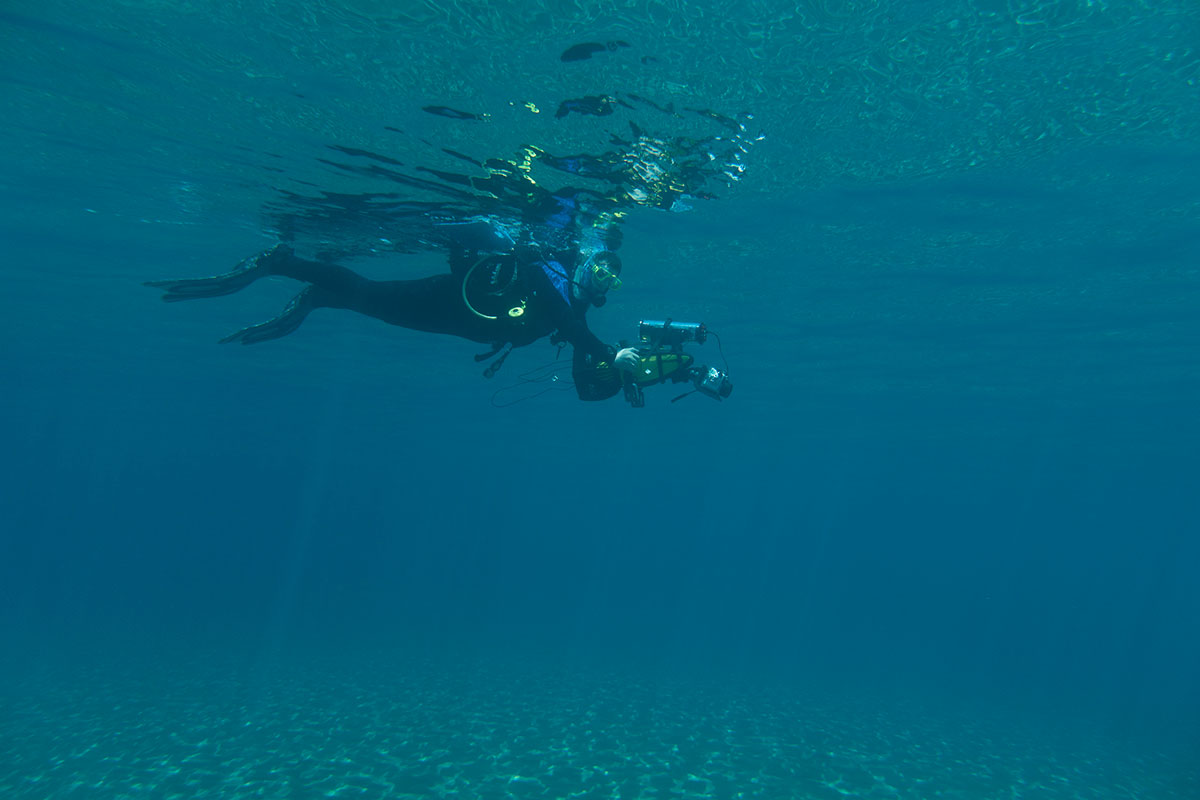 Подводные тайны Кипра. Блог с фото: фото 2