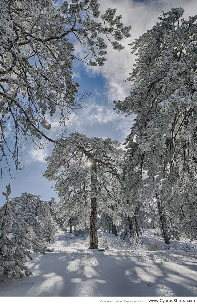 Зима на Кипре