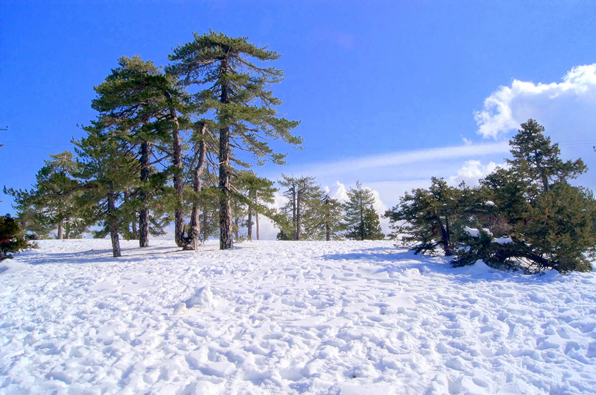 Зимний туризм на Кипре.: фото 2