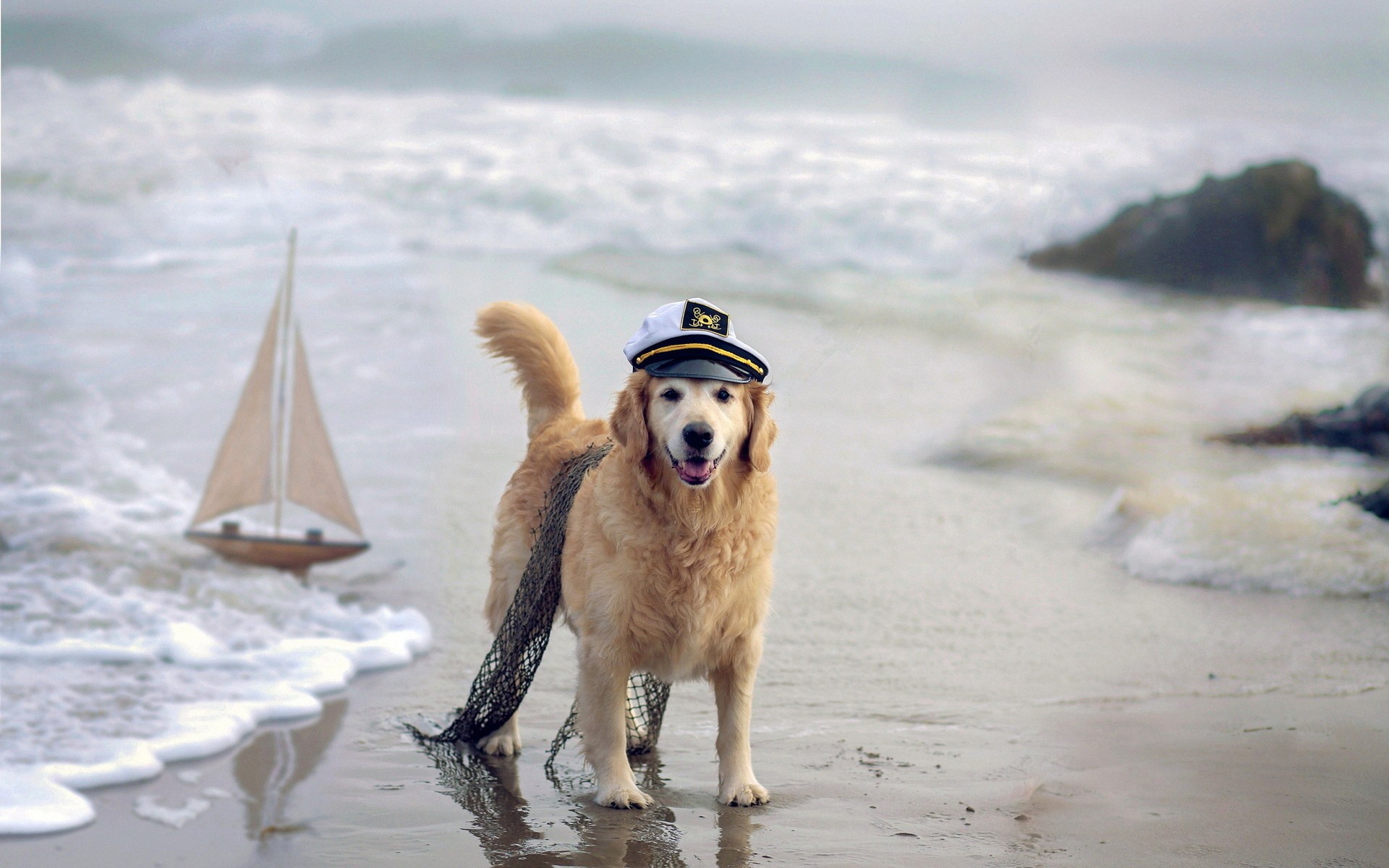 пляжи для собак на кипре