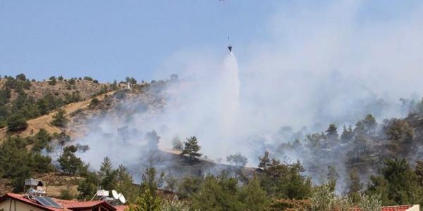 Пожар в районе Троодос - трагедия для сельских общин: фото 2