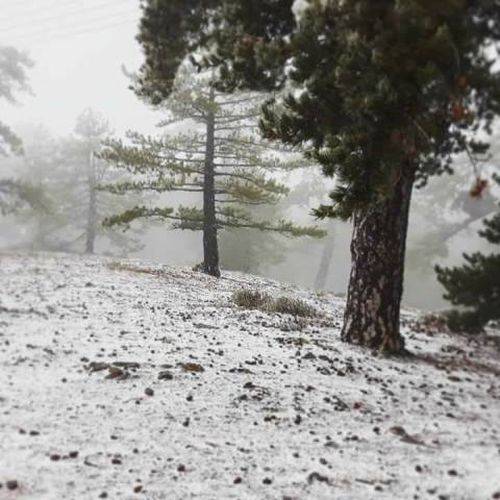 снег на Кипре