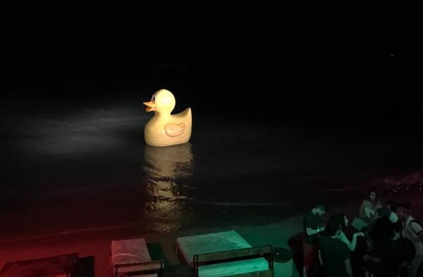 В Лимассол приплыл огромный желтый утенок: фото 4