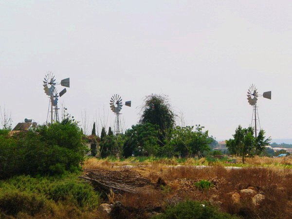 Долина ветряных мельниц в Протарасе: фото 2