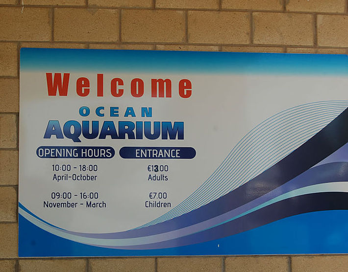 Океанариум/Ocean aquarium в Протарасе: фото 13