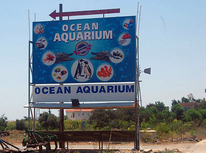 Океанариум/Ocean aquarium в Протарасе: фото 14