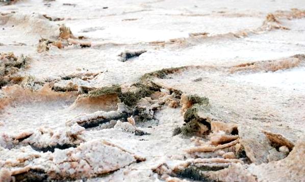 Соленое озеро в Ларнаке: фото 3
