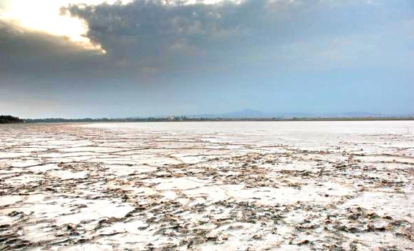 Соленое озеро в Ларнаке: фото 4