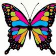 Автор Cyprus Butterfly
