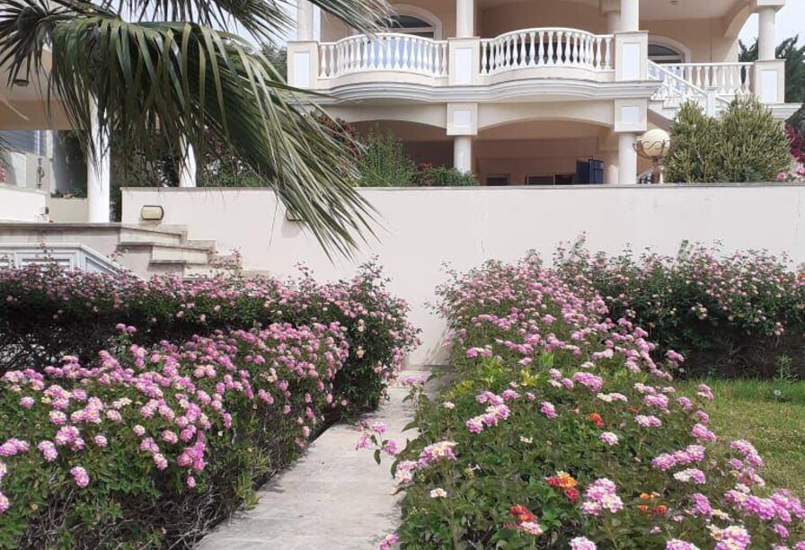 Фотогаллерея объекта 3923 - Фото 5 из 13