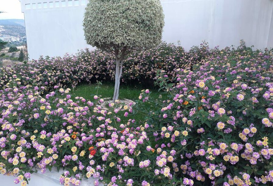 Фотогаллерея объекта 3923 - Фото 6 из 13