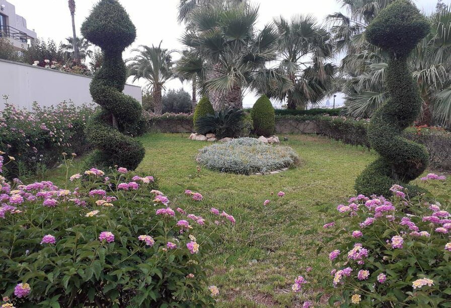 Фотогаллерея объекта 3923 - Фото 9 из 13