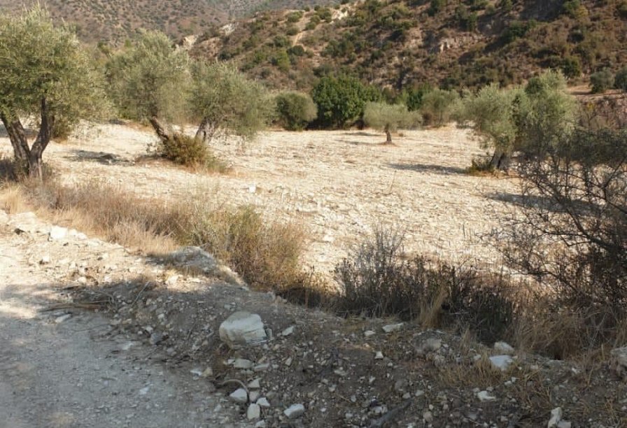 Фотогаллерея объекта 4410 - Фото 2 из 8