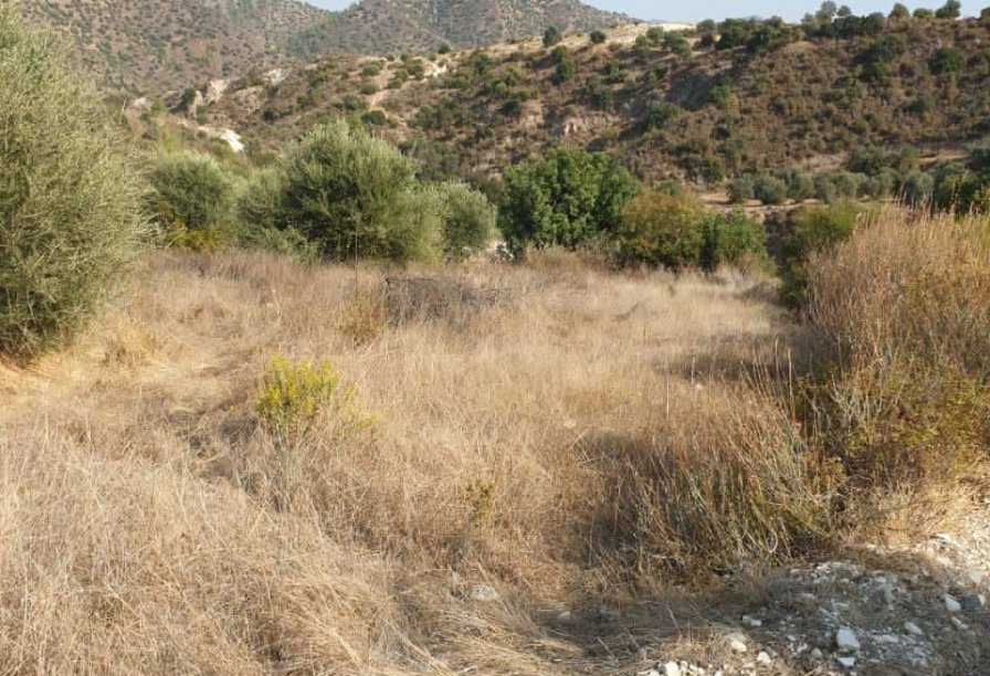 Фотогаллерея объекта 4410 - Фото 3 из 8