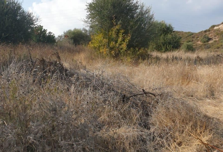 Фотогаллерея объекта 4410 - Фото 4 из 8