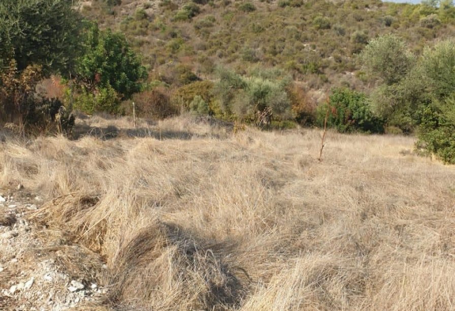 Фотогаллерея объекта 4410 - Фото 8 из 8