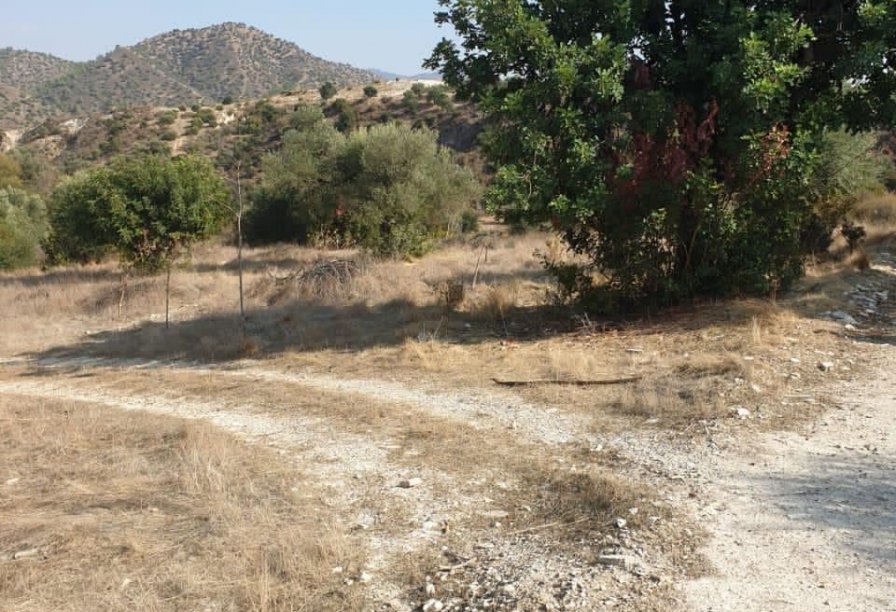 Фотогаллерея объекта 4410 - Фото 1 из 8