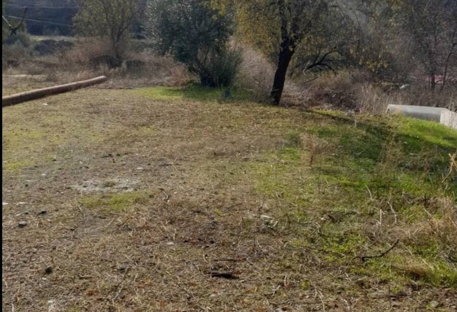 Фотогаллерея объекта 4763 - Фото 4 из 7