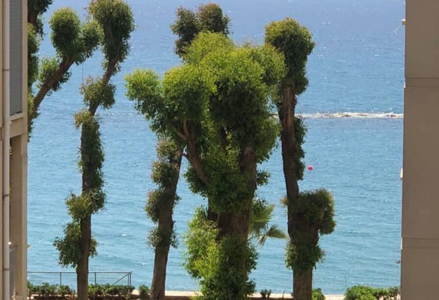 Фотогаллерея объекта 4877 - Фото 7 из 10