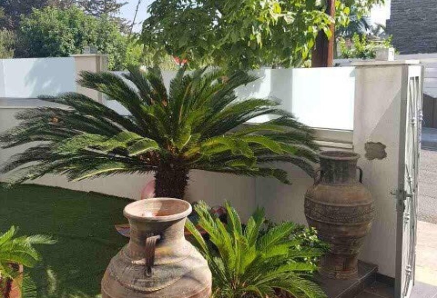 Фотогаллерея объекта 4058 - Фото 6 из 16