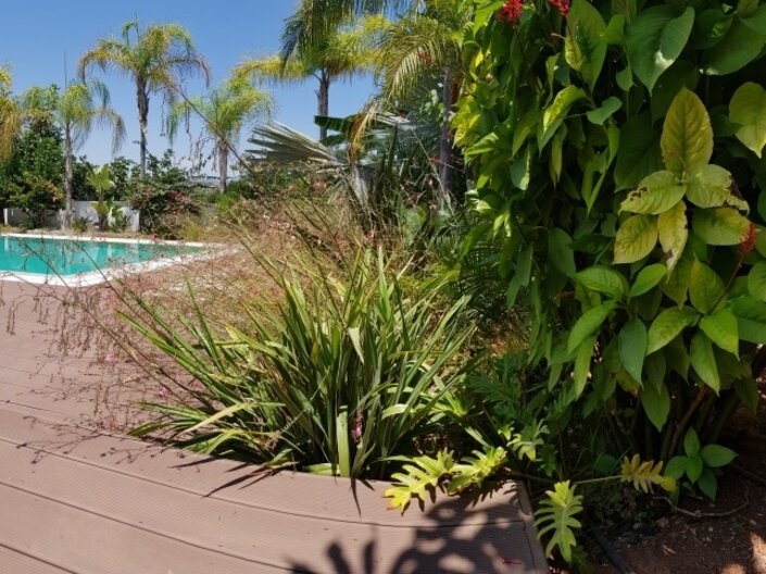 Фотогаллерея объекта 4236 - Фото 2 из 20