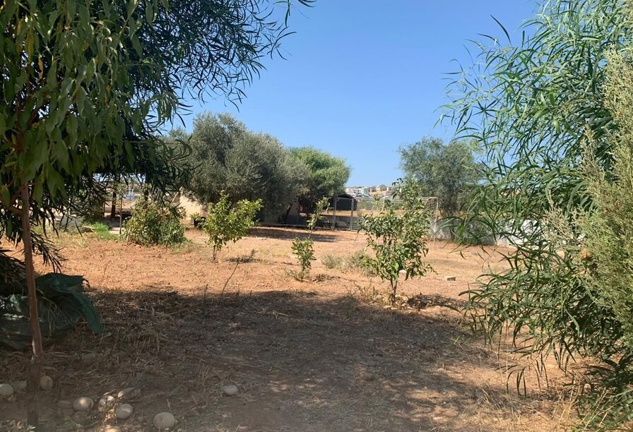 Фотогаллерея объекта 4346 - Фото 12 из 25