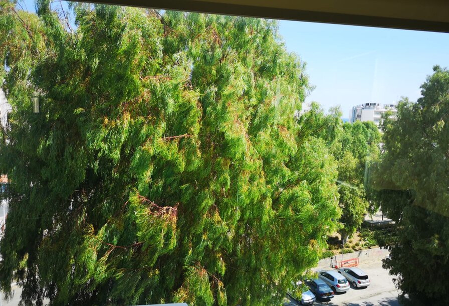 Фотогаллерея объекта 35 - Фото 12 из 14