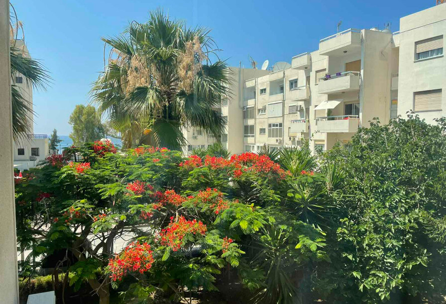 Фотогаллерея объекта 4935 - Фото 19 из 58