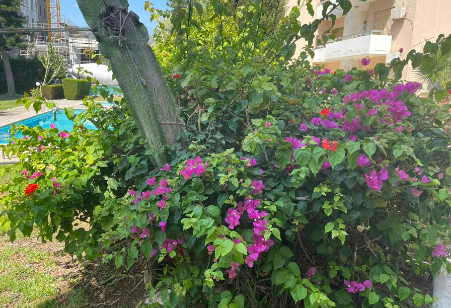 Фотогаллерея объекта 4935 - Фото 20 из 58