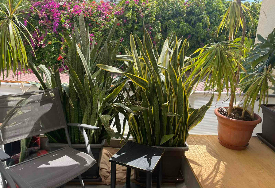 Фотогаллерея объекта 4935 - Фото 37 из 58