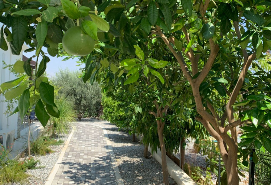 Фотогаллерея объекта 5004 - Фото 27 из 35