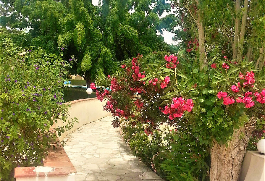 Фотогаллерея объекта 5008 - Фото 7 из 10