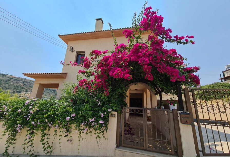 Фотогаллерея объекта 9728 - Фото 1 из 1