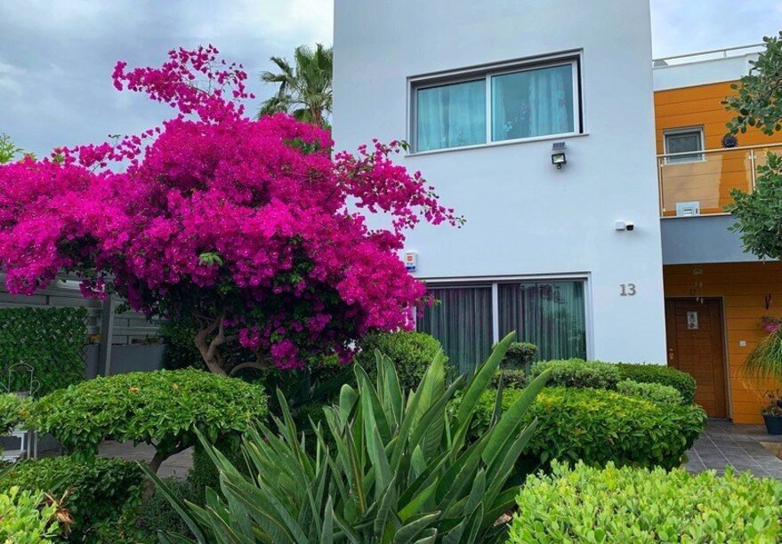 Фотогаллерея объекта 21214 - Фото 1 из 1