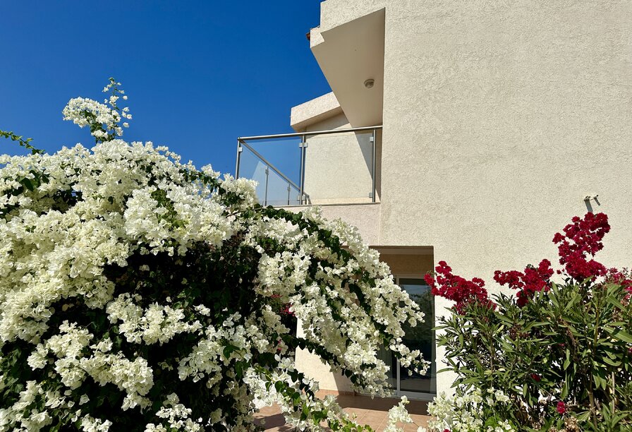 Фотогаллерея объекта 35769 - Фото 1 из 1