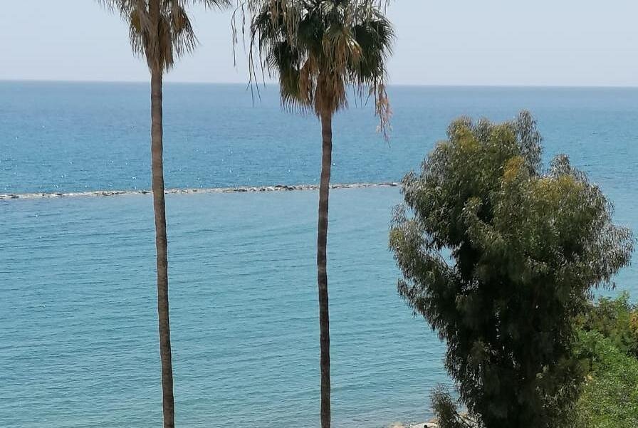 Фотогаллерея объекта 6559 - Фото 1 из 1