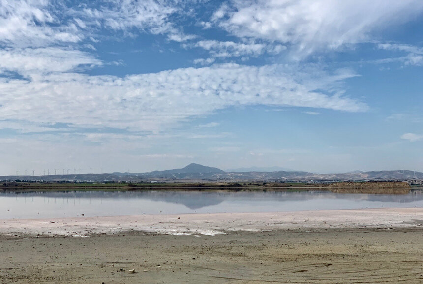 Соленое озеро Ларнаки притягивает не только розовых фламинго: фото 9
