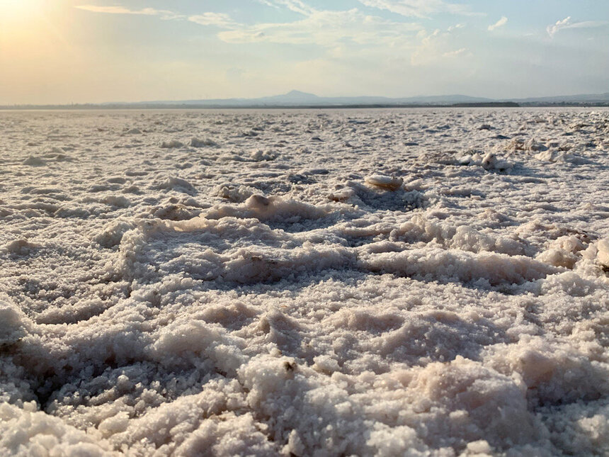 Соленое озеро Ларнаки притягивает не только розовых фламинго: фото 8