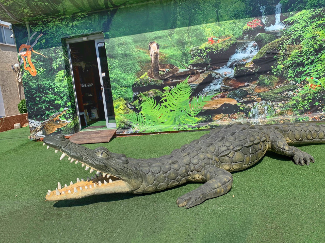 Reptile Jungle - Змеиное царство в центре Лимассола!: фото 2
