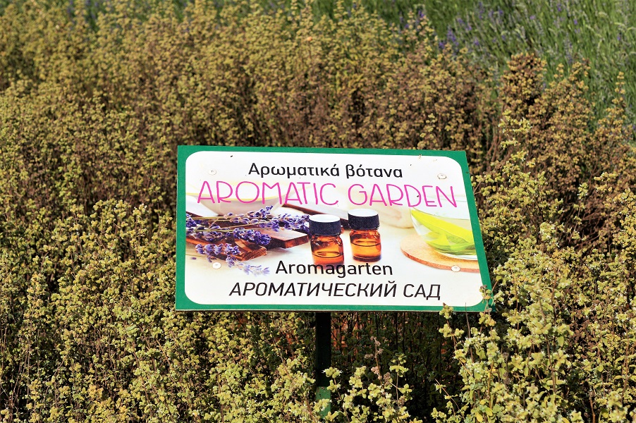 Cyherbia Botanical Park- Вдыхая аромат лаванды: фото 12